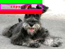 imagecopy esempio dinamico